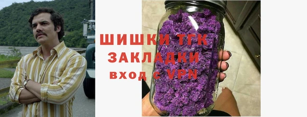гидра Майский