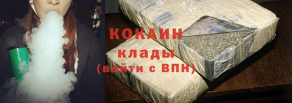 гидра Майский