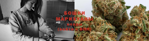 молекула духа Магадан