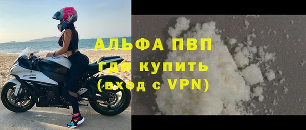 стаф Магас