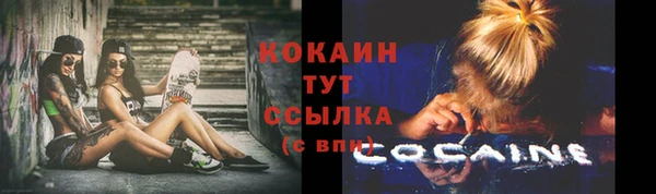 гидра Майский
