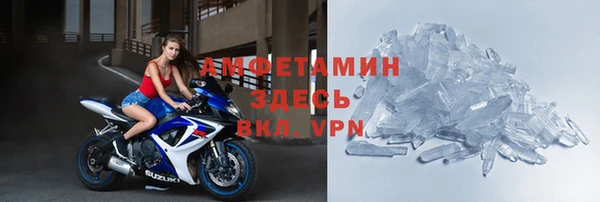 стаф Магас