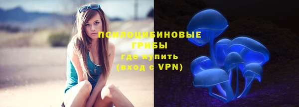 гидра Майский