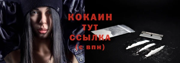 стаф Магас