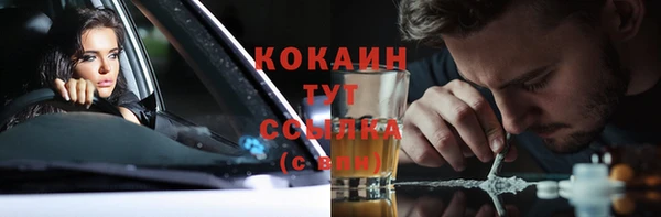 стаф Магас