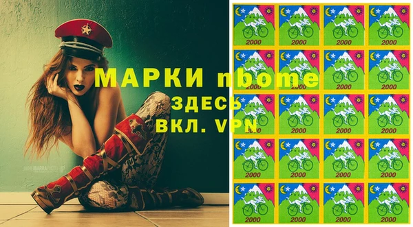 стаф Магас
