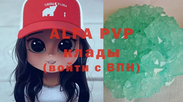 стаф Магас