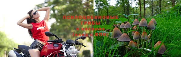 молекула духа Магадан