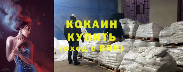 гидра Майский