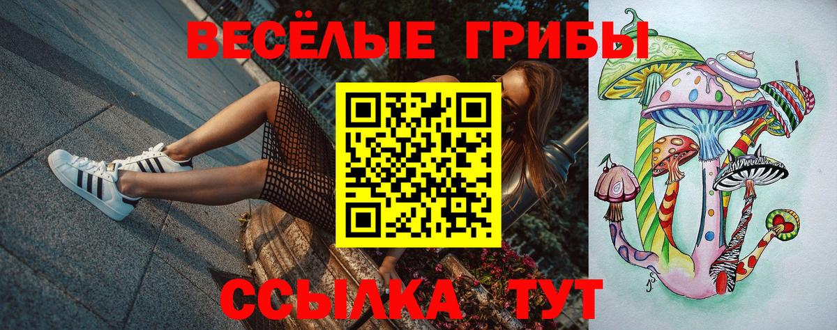 Псилоцибиновые грибы Psilocybe  Донской 