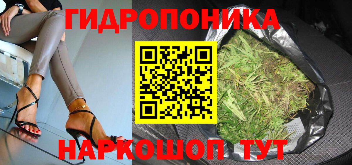 Канабис сатива Донской